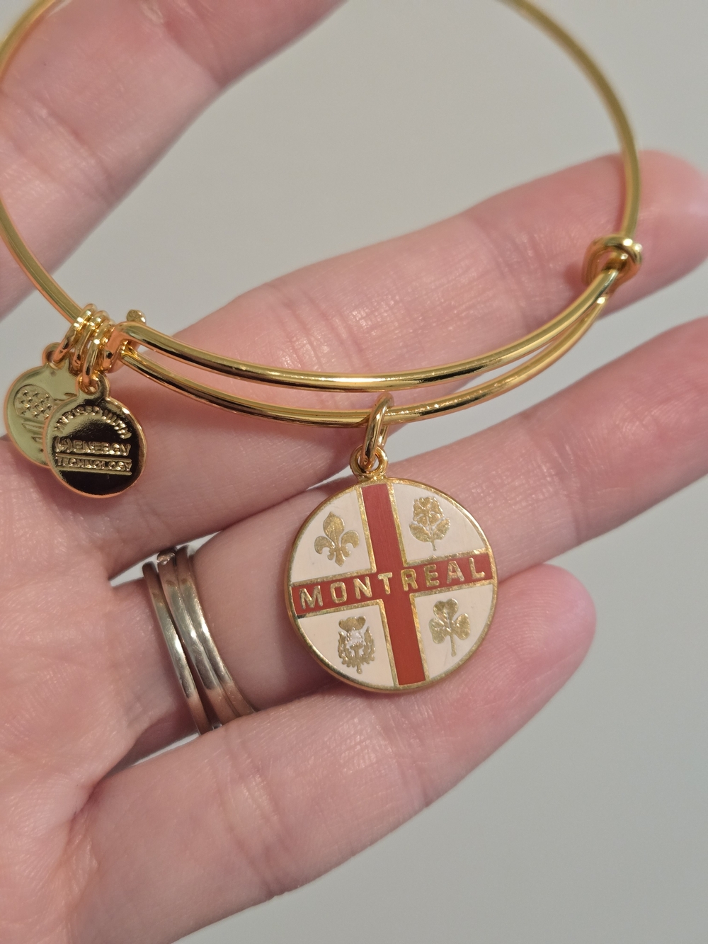 Alex and Ani Montreal Enamel Charm Bangle